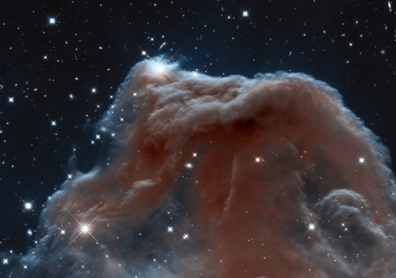 The edge of the Horsehead nebula, where it touches the empty space outside it, is rich in carbon. NASA, ESA, and the Hubble Heritage Team (STScI/AURA)