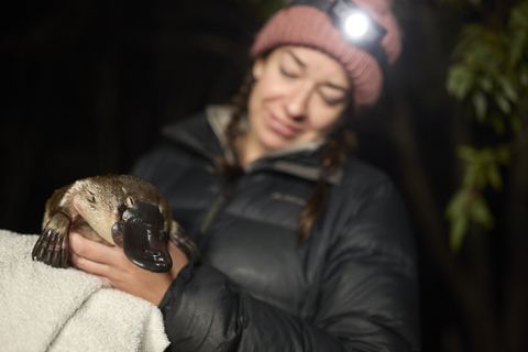 Woman holding a platypus
