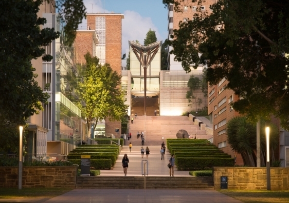 The UNSW campus