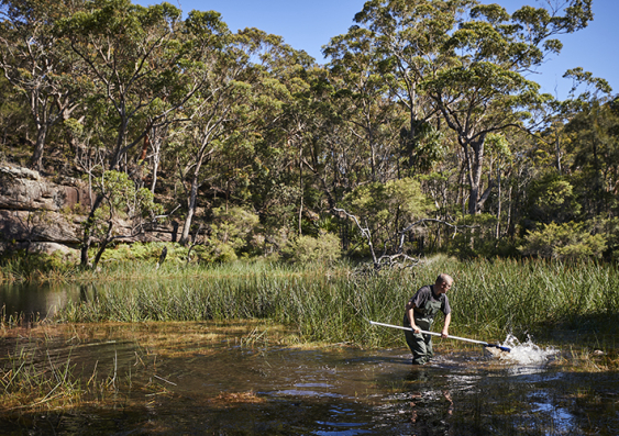 A man uses a net to get samples from the water