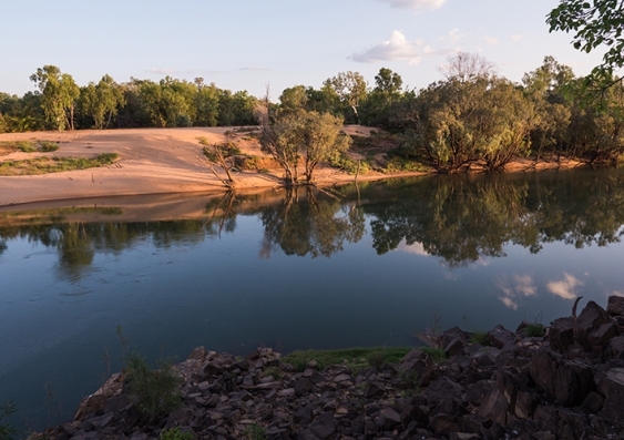 Trees are reflected by the calm waters of the Daly River in the Northern Territory