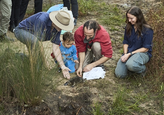 The UNSW team release their platypus on the banks of the Hacking river