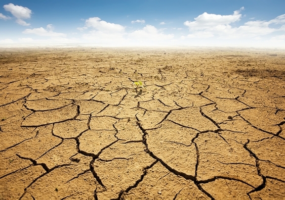 Dry, cracked earth stretching to the horizon with blue sky and clouds