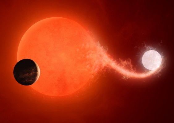 A planet orbiting two stars, a red giant and white dwarf, during a mass transfer