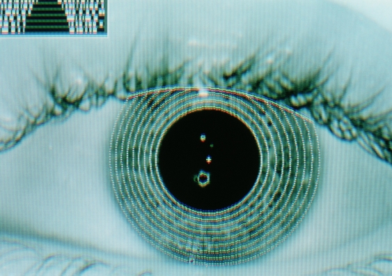 P8700124 Computer screen image of an eye iris bein SPL 1