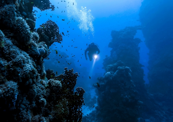 a scuba diver swims through moody waters and rock formations