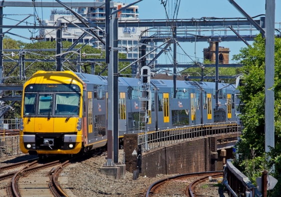 a waratah train approaches central station