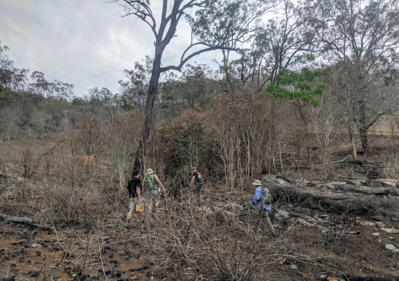 The burnt landscape at Macleay, NSW in November 2019