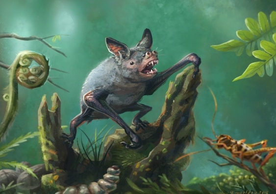 Giant extinct burrowing bat discovered in New Zealand | UNSW Newsroom