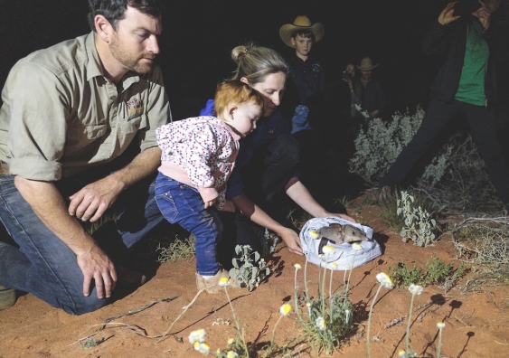 reece pedler and rebecca west with daughter isla, releasing a bilby