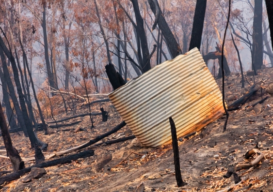 Burnt water tank and trees on a hill post-bushfire