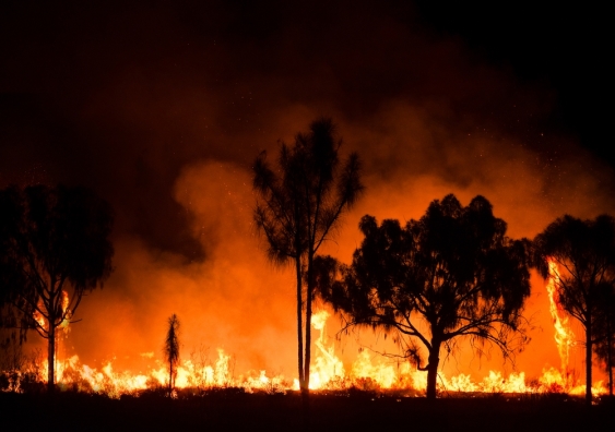 bushfire in australian outback