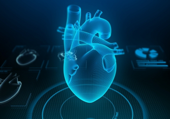 a human heart in virtual reality