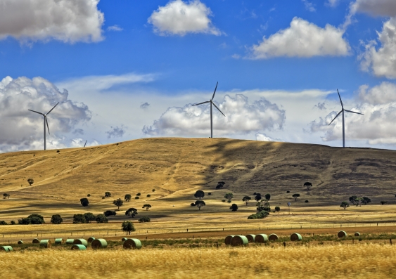 Windmills on a hill with fields in the foreground