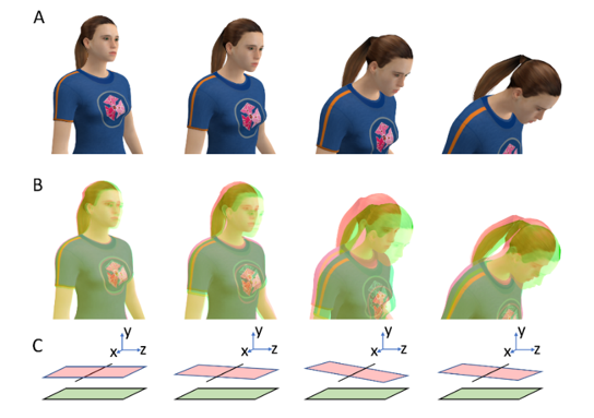 Difference between real and virtual head movements
