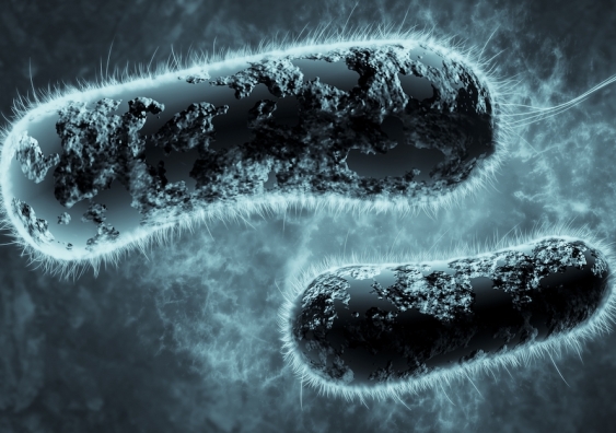 digital 3d illustration of bacteria