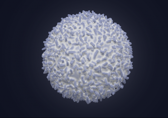 digital rendering of a b cell
