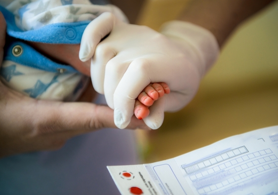 doctor takes a blood test in a newborn