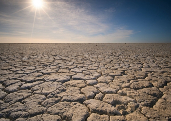 Dry desert landscape