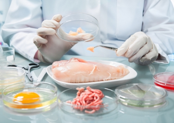 A scientist handles uncooked meat in a laboratory