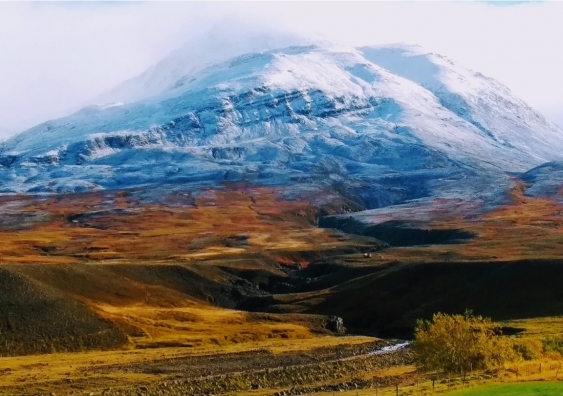 Snow-capped mountains in the background and warm, yellow-orange toned land in the foreground 