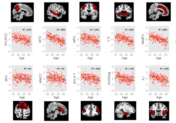 Relationship between brain regions and ageing