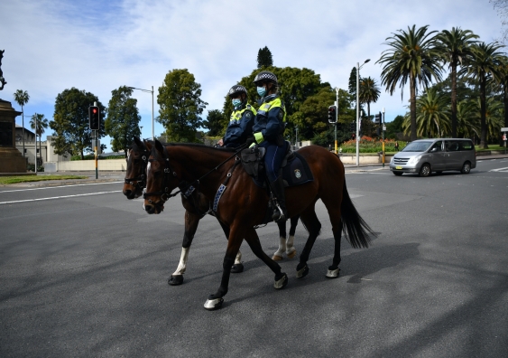 police on horseback on the streets of Sydney.jpeg