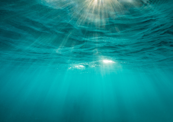 Rays of sunlight seen underwater 