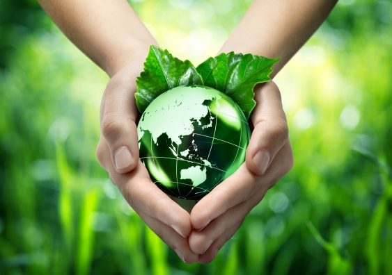 Two hands holding a green globe and green leaves