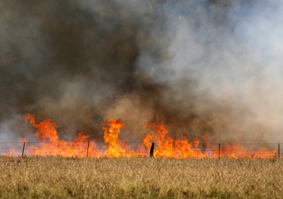 grass fire in field