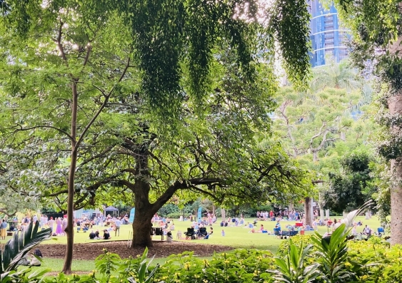 Groups of people picnicking in park