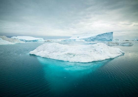 Iceberg in arctic region