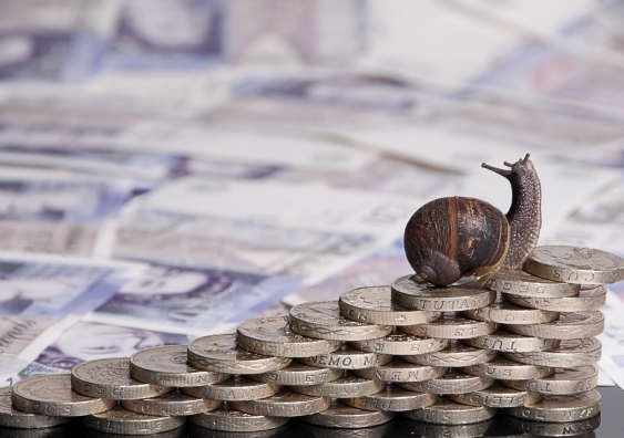 snail money