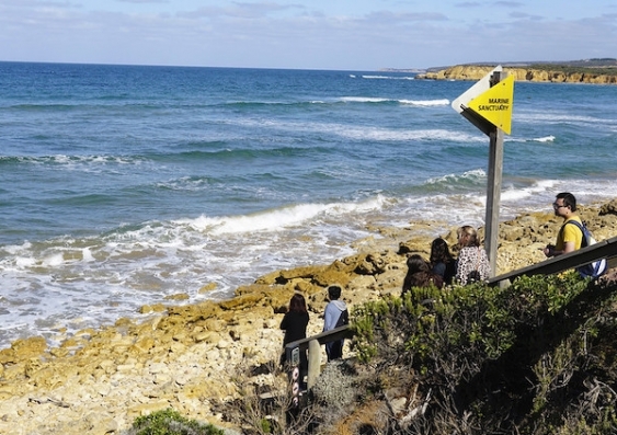 People visit the beach at Torquay, a marine sanctuary