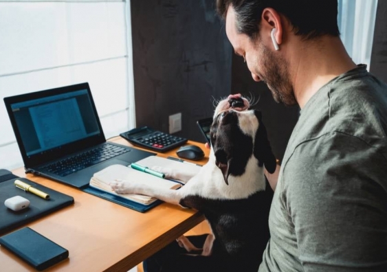 Man working from home with dog on his lap