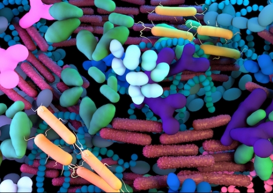 A colourful digital illustration of the human gut microbiome