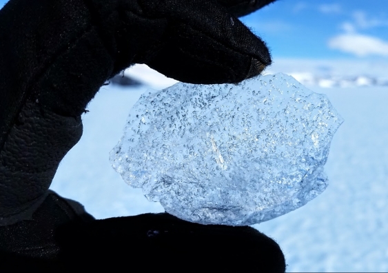 Gas bubbles in ice sample