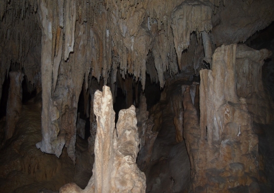 Speleothems in Yonderup Cave, Yanchep National Park