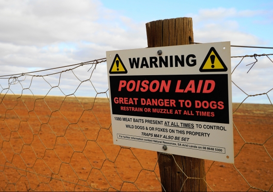 Poison baiting sign