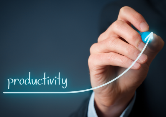 Productivity in the workplace