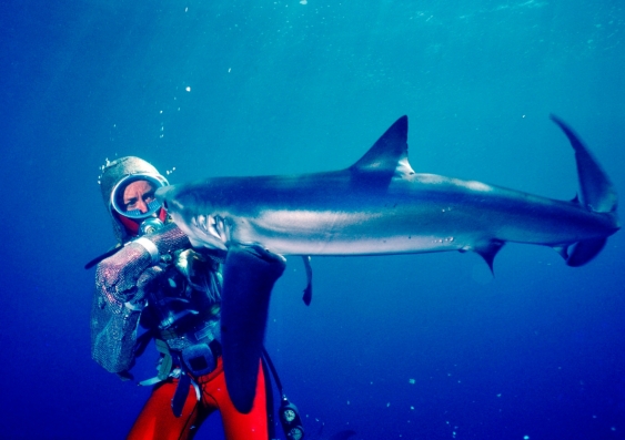 Scuba diver with a shark 