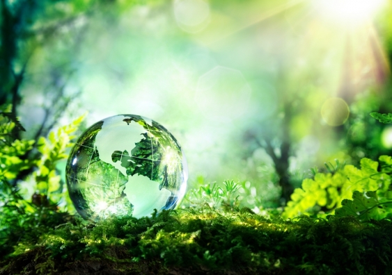 A glass ball on moss showing the world, a symbolic picture for environment