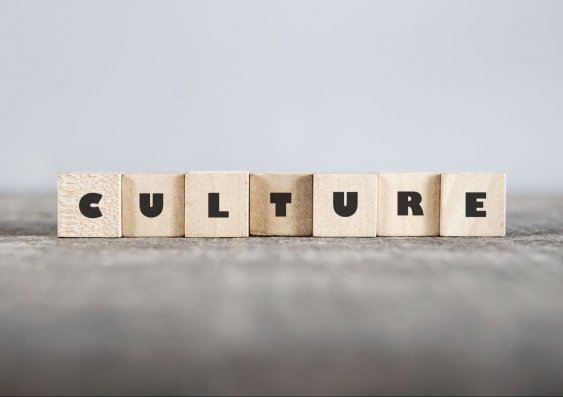 The building blocks of culture