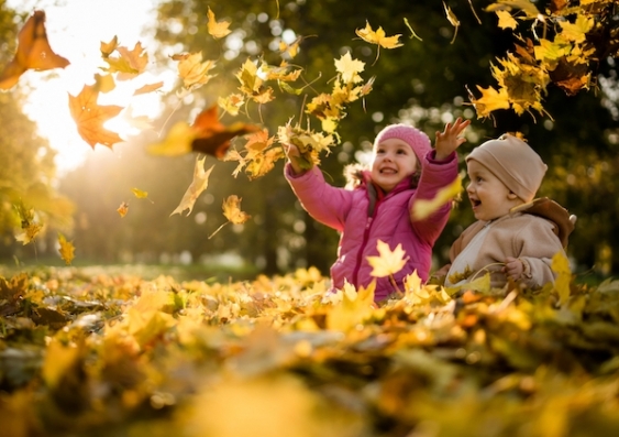 Two young children play amongst autumn leaves