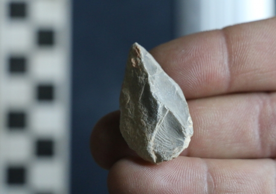 Stone tool found below the Last Glacial Maximum layer