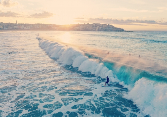 Surfer surfs a wave Bondi beach