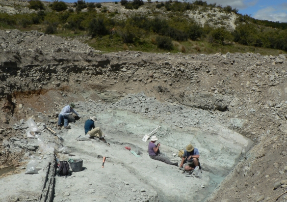 the_fossil_dig_site_at_st_bathans_new_zealand_where_the_holotype_of_vulcanops_was_found._pic_by_trevor_worthy.jpg