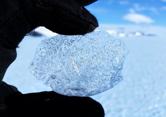 Trace gas bubbles in ice sample