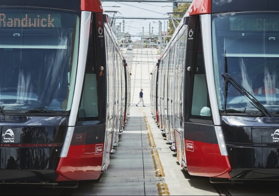 trams_on_the_randwick_line.jpg