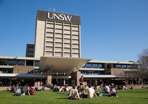 UNSW library lawn